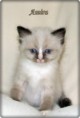 /album/amira/amira-6-hetes-006-jpg/